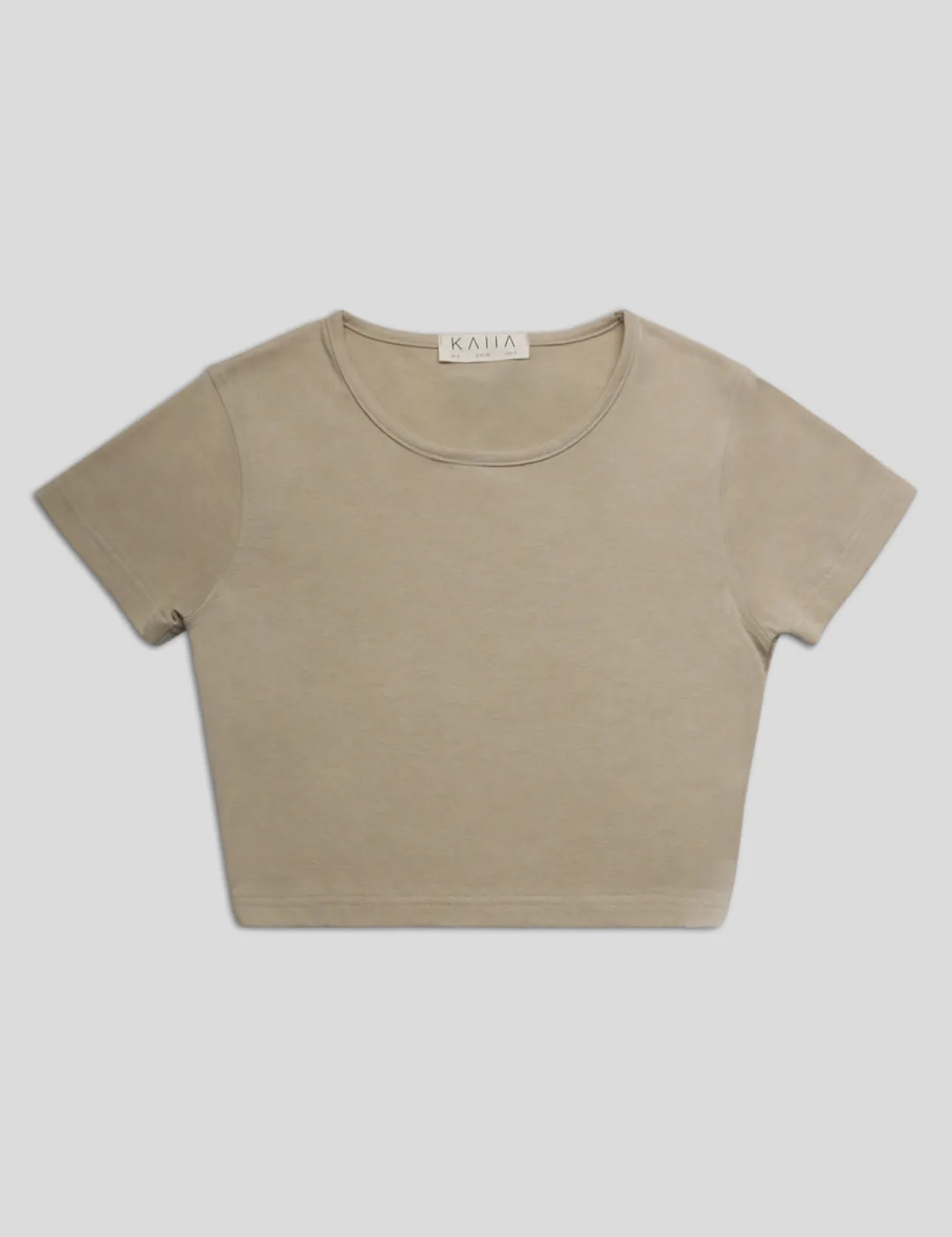 Public Desire Fitted T-Shirt | Women Curve