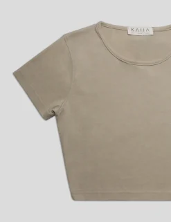 Public Desire Fitted T-Shirt | Women Curve